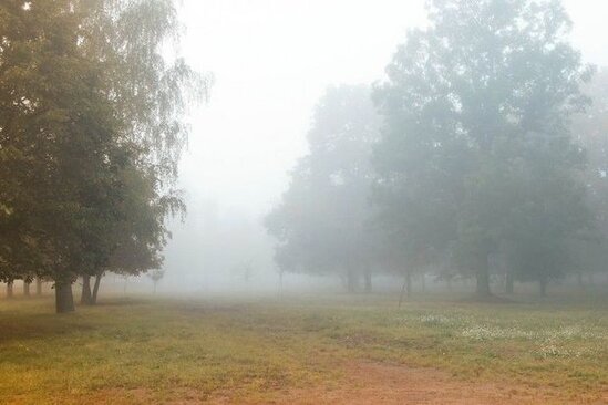 Duman, çiskin və şaxta - Sabahın HAVA PROQNOZU