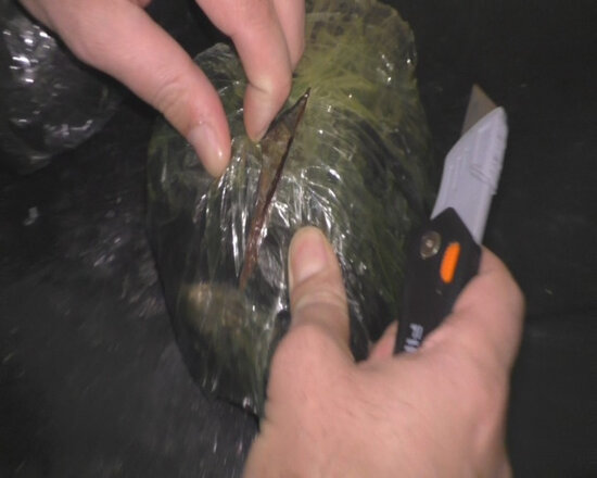 Beş yüz manat qarşılığında Göyçaydan paytaxta narkotik aparmaq istəyən şəxslər saxlanılıb - FOTO