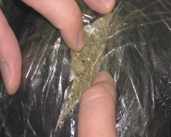 Beş yüz manat qarşılığında Göyçaydan paytaxta narkotik aparmaq istəyən şəxslər saxlanılıb - FOTO