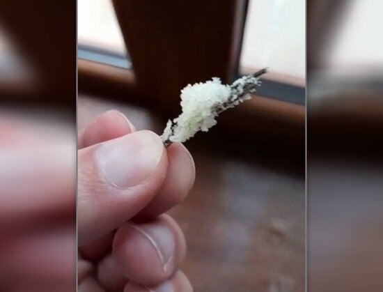 Mağazadan çörək aldı, içindən görün nə çıxdı - VİDEO