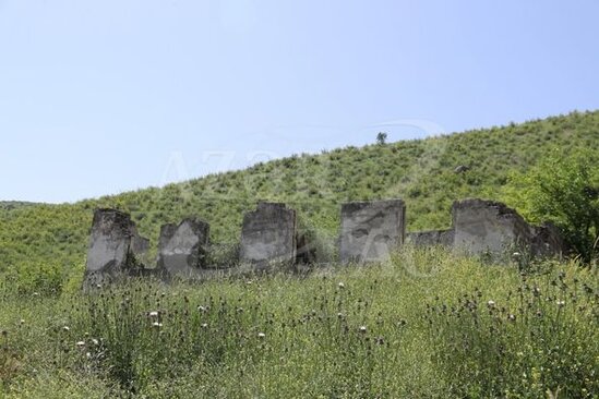 Qubadlı rayonunun Qaraqoyunlu kəndi - FOTO