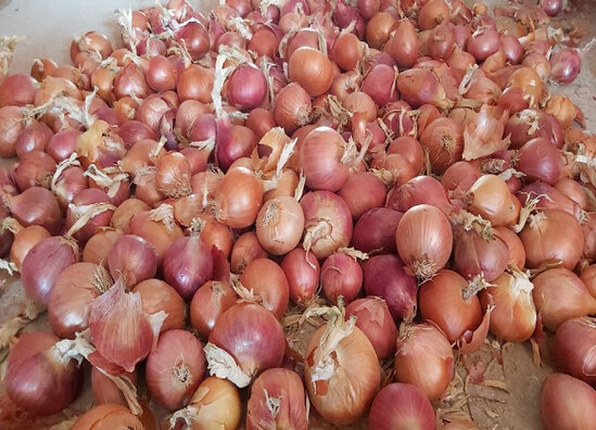 Əli Əsədovdan soğanla bağlı YENİ QƏRAR