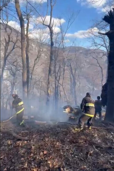 Azərbaycanda meşə yanır - FOTO