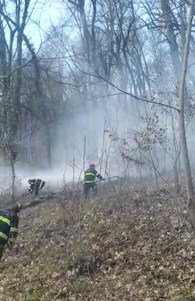 Azərbaycanda meşə yanır - FOTO