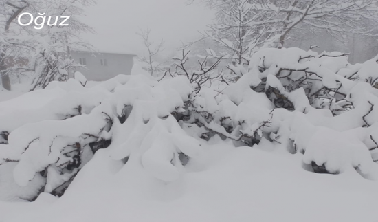 Bölgələrimizin qarlı görüntüləri
