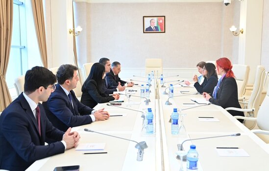 Milli Məclisdə Fransa Senatının üzvü ilə görüş