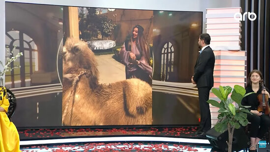 Nazilə Səfərli nəvəsi üçün dəvə qurbanı kəsdi - VİDEO