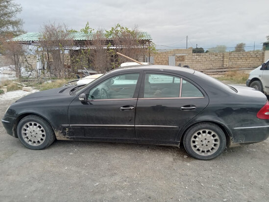 Azərbaycanda güllələnmə - Qəbiristanlığa gəlib... - FOTO