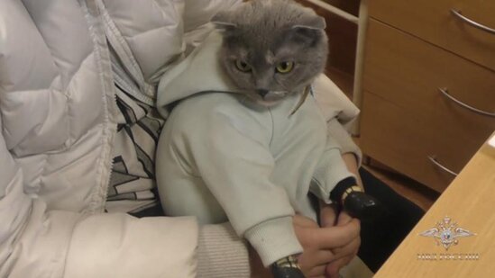 Pişik paltarından külli miqdarda narkotik tapılıb