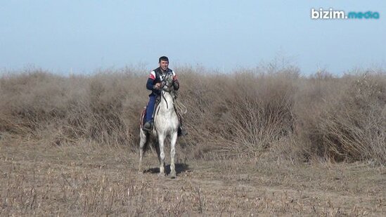 Qarabağ atlarını 30 ildir qoruyan Ağdam sakini: "Qayıdacağımıza əmin idik" - FOTO