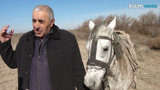 Qarabağ atlarını 30 ildir qoruyan Ağdam sakini: "Qayıdacağımıza əmin idik" - FOTO