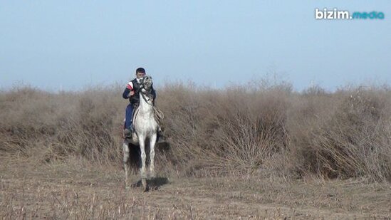 Qarabağ atlarını 30 ildir qoruyan Ağdam sakini: "Qayıdacağımıza əmin idik" - FOTO