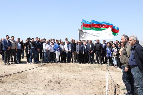 Media nümayəndələrinin iştirakı ilə ağacəkmə aksiyası keçirildi - FOTO