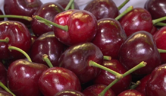 Bazarda kilosu 70 manata olan gilasın özəlliyi nədir? - VİDEO