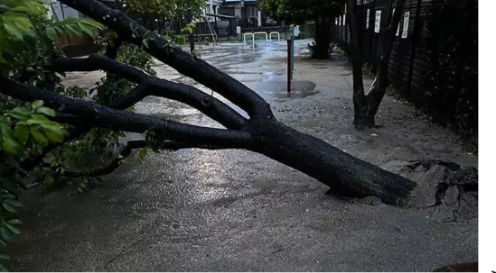 Yaponiyada çay bəndi uçub, evləri və avtomobilləri su basıb