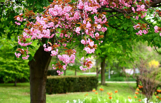 Sabah 28° isti olacaq