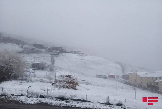 Azərbaycanın şimal bölgəsinə qar yağır - FOTO