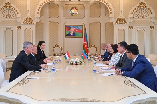 Sahibə Qafarova Macarıstan Milli Assambleyasının sədr müavini ilə görüşüb