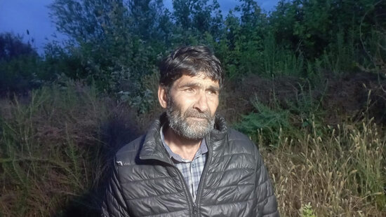 Həyətində çətənə kolları yetişdirən şəxs saxlanıldı - FOTO