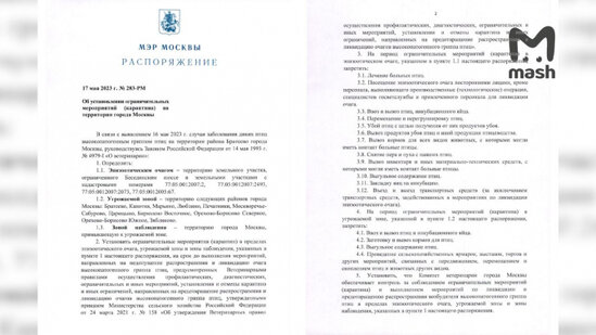 Moskvada quş qripinə görə karantin elan edildi - FOTO