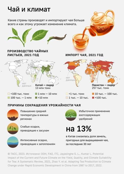 Bu gün Beynəlxalq Çay Günüdür - FOTO