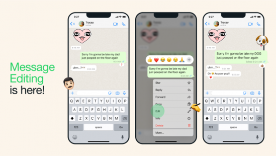 "WhatsApp"da növbəti YENİLİK - FOTO