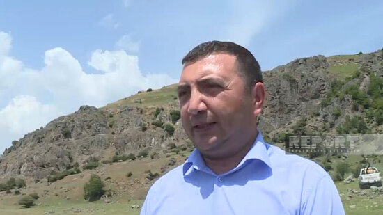 Lerikdə Mərakeş çəyirtkələri yayılıb - FOTO