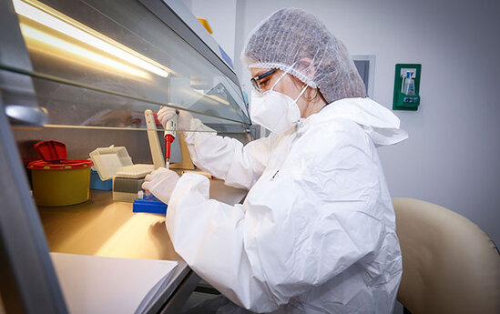 Ölkədə cəmi 36 koronavirus xəstəsi var