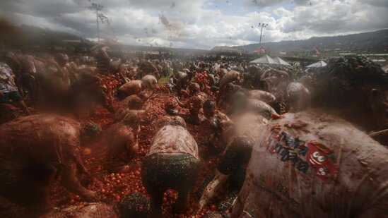 Festivalda 40 ton pomidoru bir-birinə atdılar - Fotolar