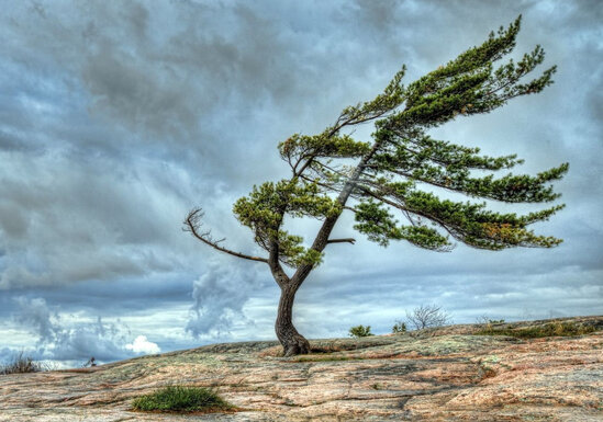 Hava ilə bağlı XƏBƏRDARLIQ - Bu tarixədək....