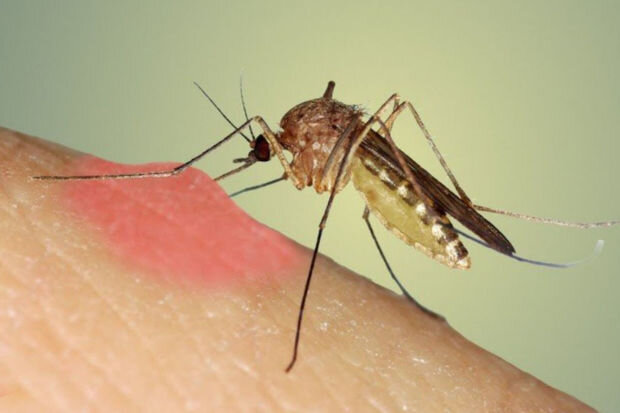 Bakı küçələri niyə dezinfeksiya olunmur? - VİDEO