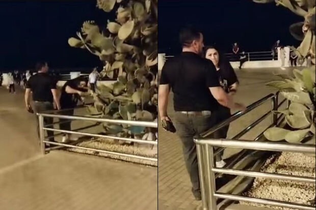 Dənizkənarı Milli Parkda dekorativ ağaca zərər vuran qadın saxlanıldı - VİDEO