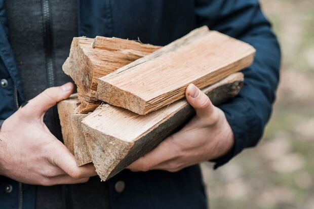 Şəkinin kəndində meyvə ağacları odun əvəzi yandırılır: İnsanlar bir maşın oduna 500-600 manat verirlər - VİDEO