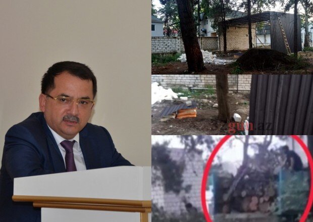 Qazaxda Əliağa Şıxlinski küçəsində növbəti "Yaşıl terror" - İcra başçısı hara baxır?