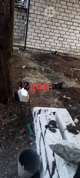 Qazaxda Əliağa Şıxlinski küçəsində növbəti "Yaşıl terror" - İcra başçısı hara baxır?