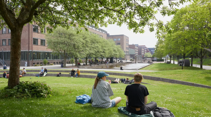 Universitetlərdə kampus yaradılacaq?