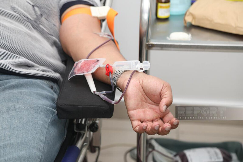 Allahşükür Paşazadə qan verib - FOTO