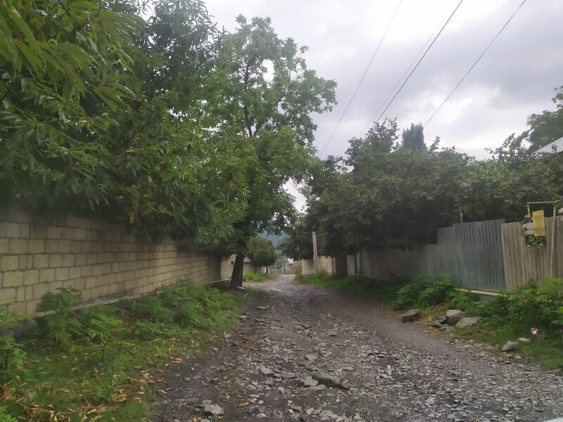 İstisu kəndinin sakinləri Prezidentə müraciət etdi: "İcra Hakimiyyəti problemimizlə bağlı tədbir görmür"