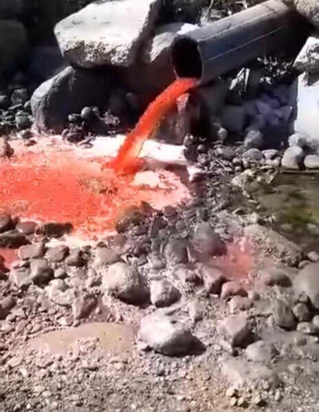 "Lerik Broyler" MMC ilə bağlı yayılan xəbərlər, görüntülər saxtadır və heç bir əsası yoxdur" - İqbal Məmmədov