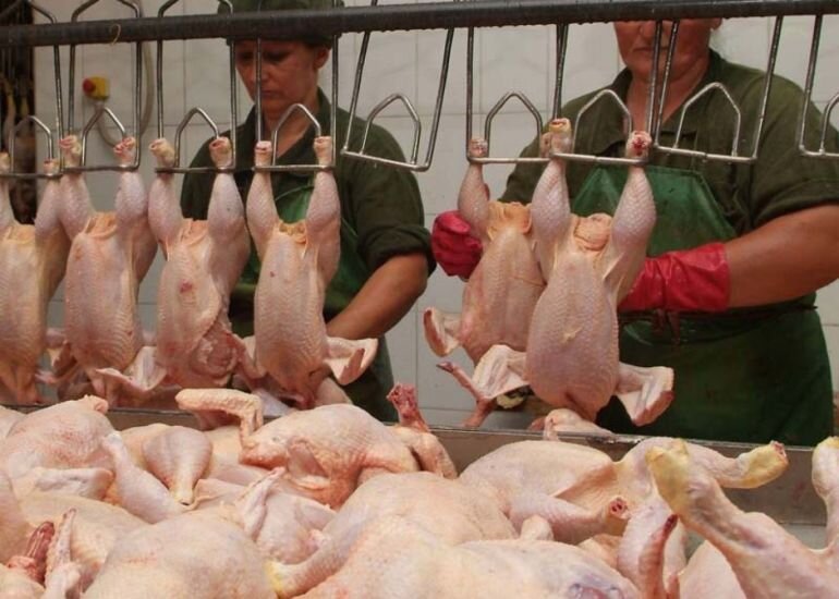 "Qaraqaşlı-broyler" məhkəməyə verildi