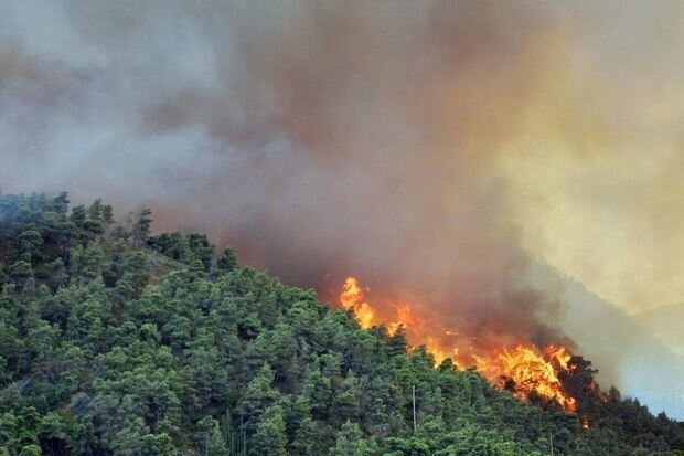 Ağsuda dağlıq ərazi yanır