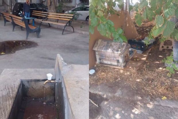 Bakıda kişi pişiyin boğazına spirt töküb öldürür - İDDİA