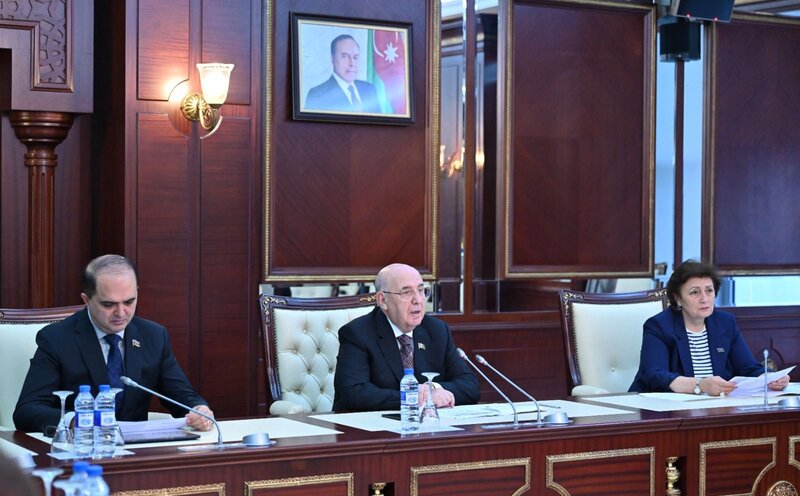 Milli Məclisin Səhiyyə komitəsinin iclası keçirilib