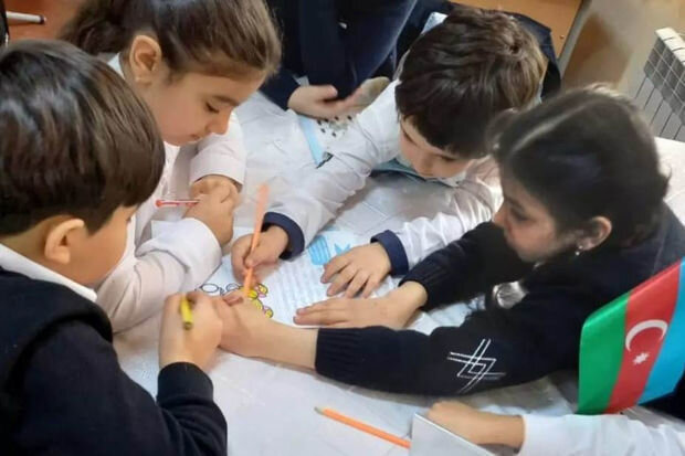 Şagirdlərin esse yazmaq problemi: Ana dilimizə laqeyd münasibət - ARAŞDIRMA