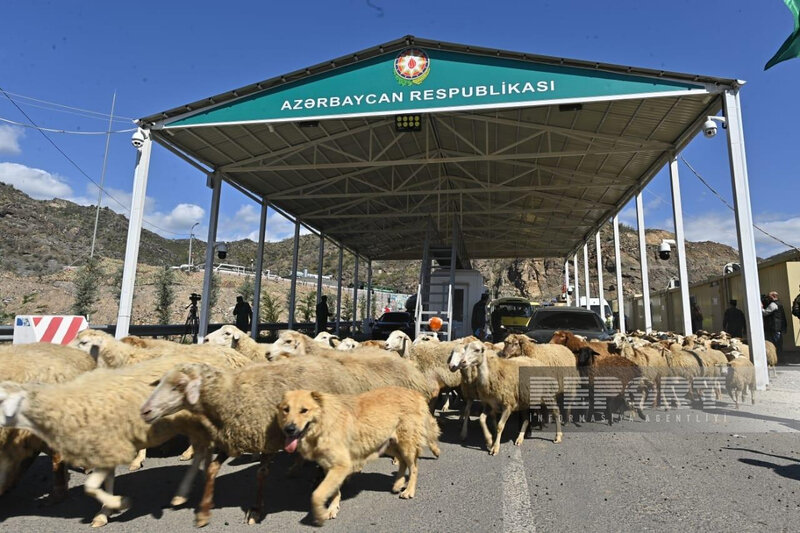 Erməniəsilli şəxs: "Qarabağ Azərbaycanındır və Azərbaycan pasportuna keçəcəyəm" - FOTO