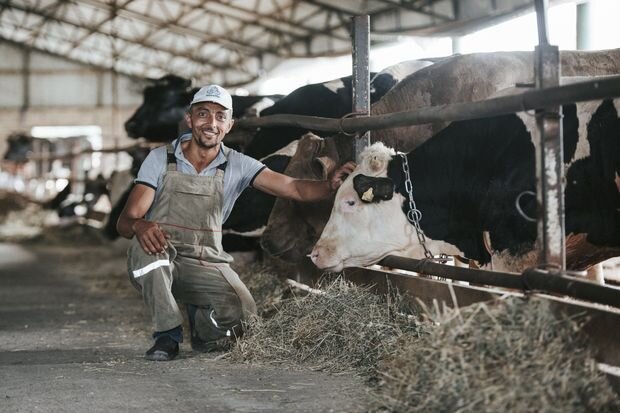 Fermerlər aqrar sığortadan niyə şikayət edirlər? - SƏBƏBLƏR