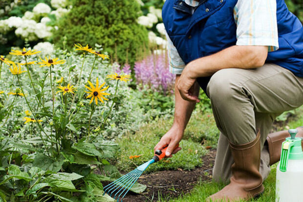 Göyçayda bağban müəmmalı şəkildə öldü