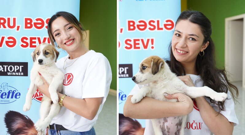 "Veysəloğlu Distribusiya" şirkəti sahibsiz heyvanları ziyarət edib