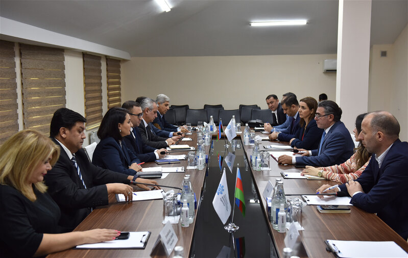 "Açıq hökumətin təşviqində və korrupsiyaya qarşı mübarizədə medianın rolu" mövzusunda dəyirmi masa keçirilib
