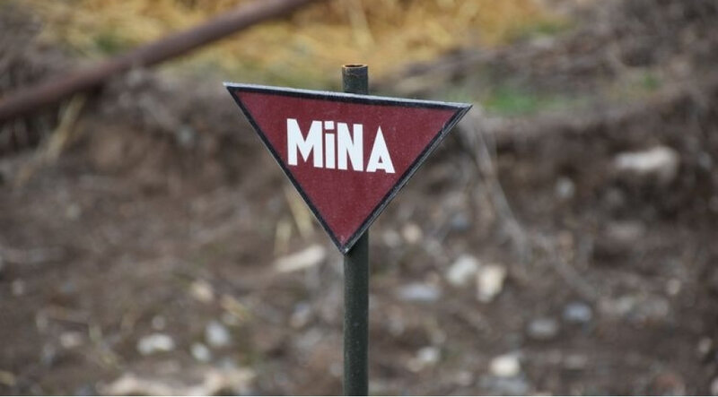 DİN və ANAMA birgə məlumat yayıb - VİDEO